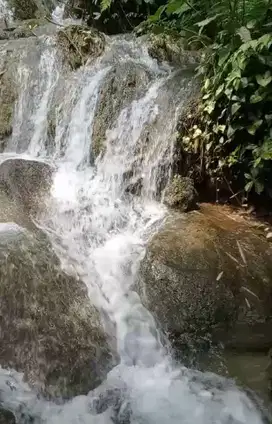 Tanah Murah 1 Hektar Ada air Terjun