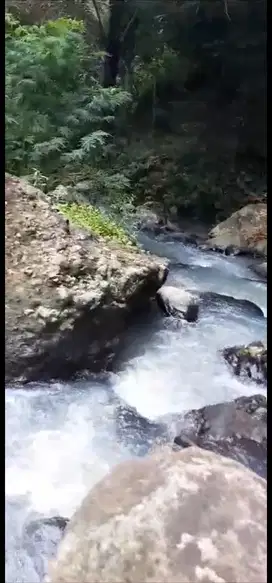JUAL TANAH KULONPROGO DI SAMIGALUH VIEW AIR TERJUN