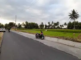 Dekat Borobudur, Tanah Murah Magelang: SHM Ready