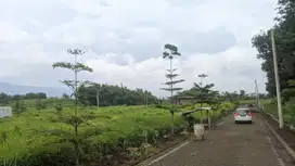 Tanah Kavling Sebelah Kampus UIN 3 Malang Cocok Untuk Kos Mahasiswa