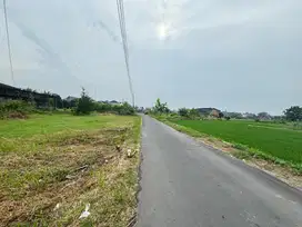 Tanah Murah Dalam Ringroad Jogja, 10 Menit Malioboro