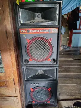 Speaker 12 Inch aktron
