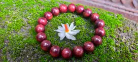 Gelang galih nagasari sunan gunung jati bit 12 mm