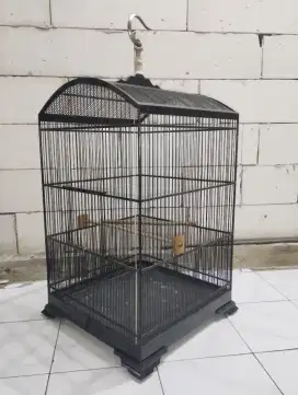 Sangkar Kohsan original 50