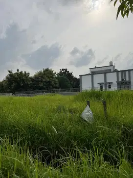 Dijual Kavling Luas 307 m2, Taman Simpruk Lippo Cikarang, 4.3 Juta/m2!