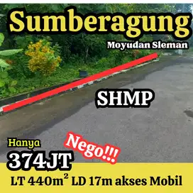 tanah luas bagus buat kavling rumah lokasi moyudan