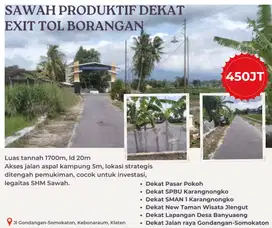 SAWAH PRODUKTIF DEKAT EXIT TOL BORANGAN