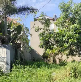 JUAL tanah 200 m2 di munggu
