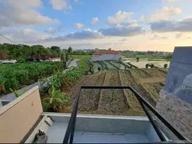 FOR RENT/SALE BRAND NEW VILLA WITH PADDY FIELD VIEW IN PADONAN CANGGU
