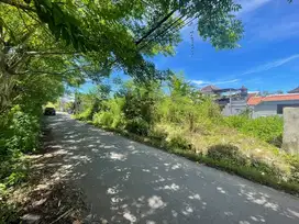 Tanah jual Jimbaran Bawah luas 4.6 are