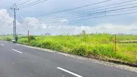 jual tanah  12 are hrg 190 jt/ are kerambitan
