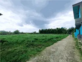 Siap Balik Nama, Tanah Jogja, 7 Km Timur Stasiun Wates
