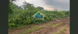 Dijual Tanah Di Desa Dangdang, Cisauk, Tangerang