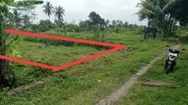 turun harga jual tanah luas 597m2 dibarat jl palagan km 15 view sawah