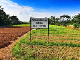 Dijual Tanah Posisi Strategis di Babelan, Bekasi - Luas Tanah 2.478m2,