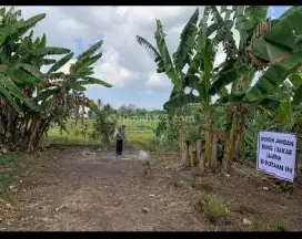 BUC DIJUAL CEPAT! Tanah datar di Tabanan view sawah.
