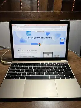Macbook 12 inch Retina, 2017, 512GB, 1.3 GHZ dual core i5