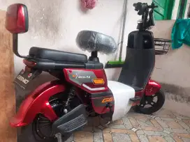 Sepeda listrik istimewa
