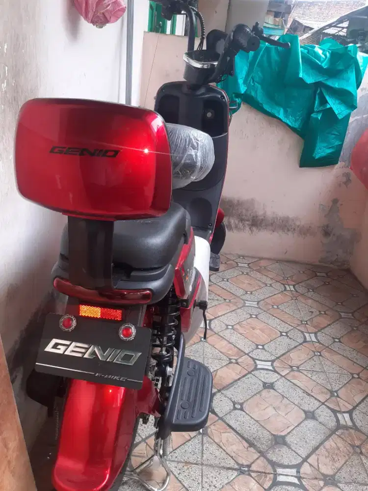 Sepeda listrik istimewa