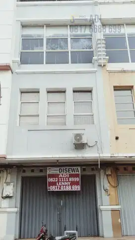 Dijual Ruko Mutiara Taman Palem 3,5 Lantai