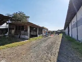 Lahan ex Pabrik, Gunung Gangsir Pasuruan Masih Bagus Akses Mudah