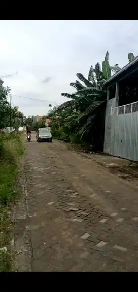 Gudang Driyirejo SHM