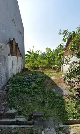 Tanah Murah dekat UNDIP