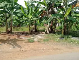 Tanah kosong Rejasari dekat RS Islam, Kampus STT Wiworotomo Purwokerto