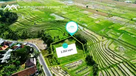 Prime Land in Kedungu: Your Ideal Canvas for Future Business Opportuni