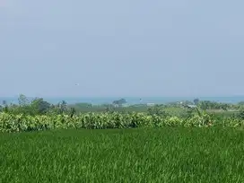 Tanah View Laut dan Sawah di Kelating Tabanan, Cocok untuk Villa
