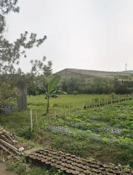 Dijual Tanah Lokasi Perumahan Sersan Bajuri Cocok Untuk Bangun Rumah