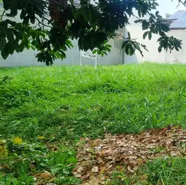 Dijual di bawah harga Pasar , Kavling tanah Pondok Indah