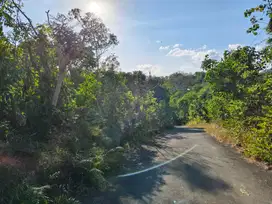 Tanah sewa jangka Panjang murah di Labuan sait - Uluwatu Bali