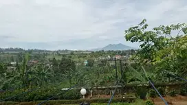 Dijual Tanah siap bangun di Tugu Selatan Puncak