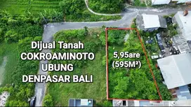 JUAL TANAH 595m2 di cokroaminoto ubung denpasar,cocok gudang