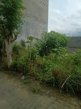 Cuma 200Juta Kamu Bisa Punya Tanah Siap Bangun Di Arjowinangun Loh!
