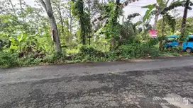 Tanah kosong dekat wisata Owabong Bojongsari Purbalingga