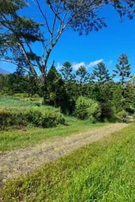 Dijual tanah daerah puncak