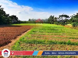 JUAL Tanah Bebas Banjir Lokasi Strategis Babelan Bekasi