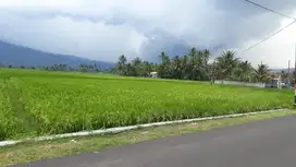 TANAH SIAP BANGUN STRATEGIS POTENSIAL BISNIS