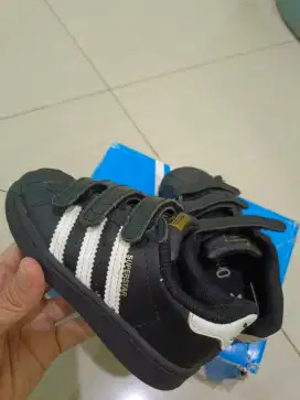 Sepatu adidas superstar anak