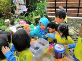 Jasa terapi motorik autism