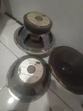 Speaker celection G12-80 england