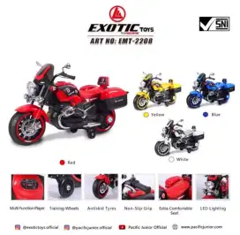 Motor Aki anak harley 2208