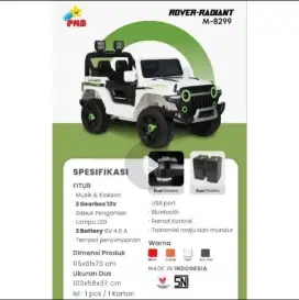 Mobil Aki anak rover Radiant pmb 8299