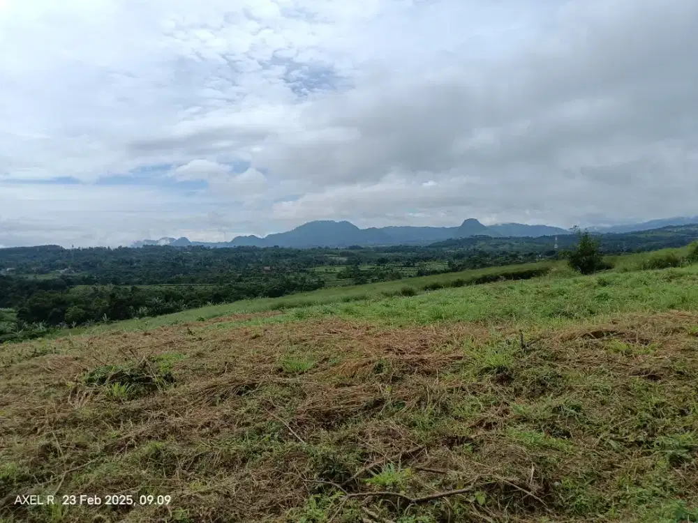 Tanah Garapan Produktif di Lokasi Strategis!