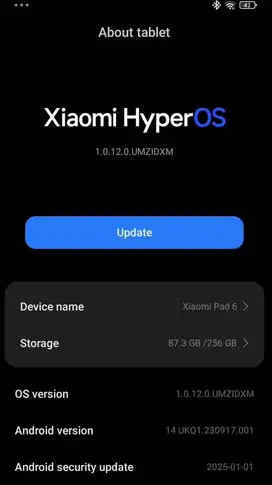Xiaomi Pad 6 8/256gb Gray