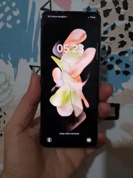 Samsung ZFlip 4 8/256 Sein