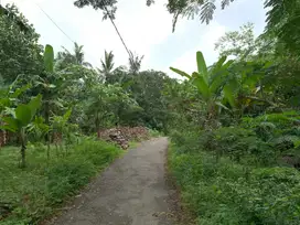 Tanah Malimbu dekat Resort Louis Kienne cocok untuk kebun