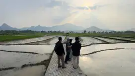 DIJUAL TANAH KAVLING SAWAH SHM YANG ADA PINTU GERBANGNYA